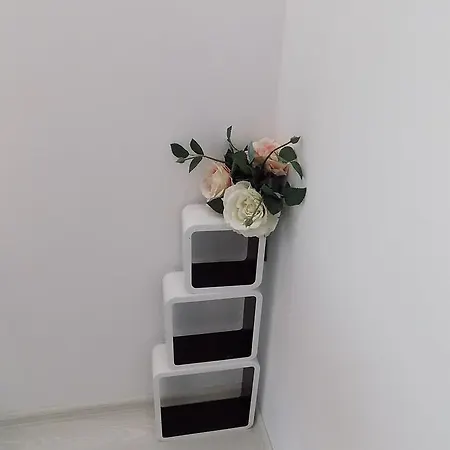 דירה Silvi *